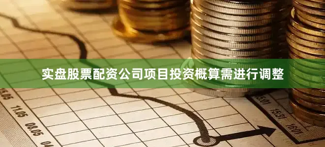 实盘股票配资公司项目投资概算需进行调整