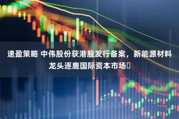 速盈策略 中伟股份获港股发行备案，新能源材料龙头逐鹿国际资本市场​